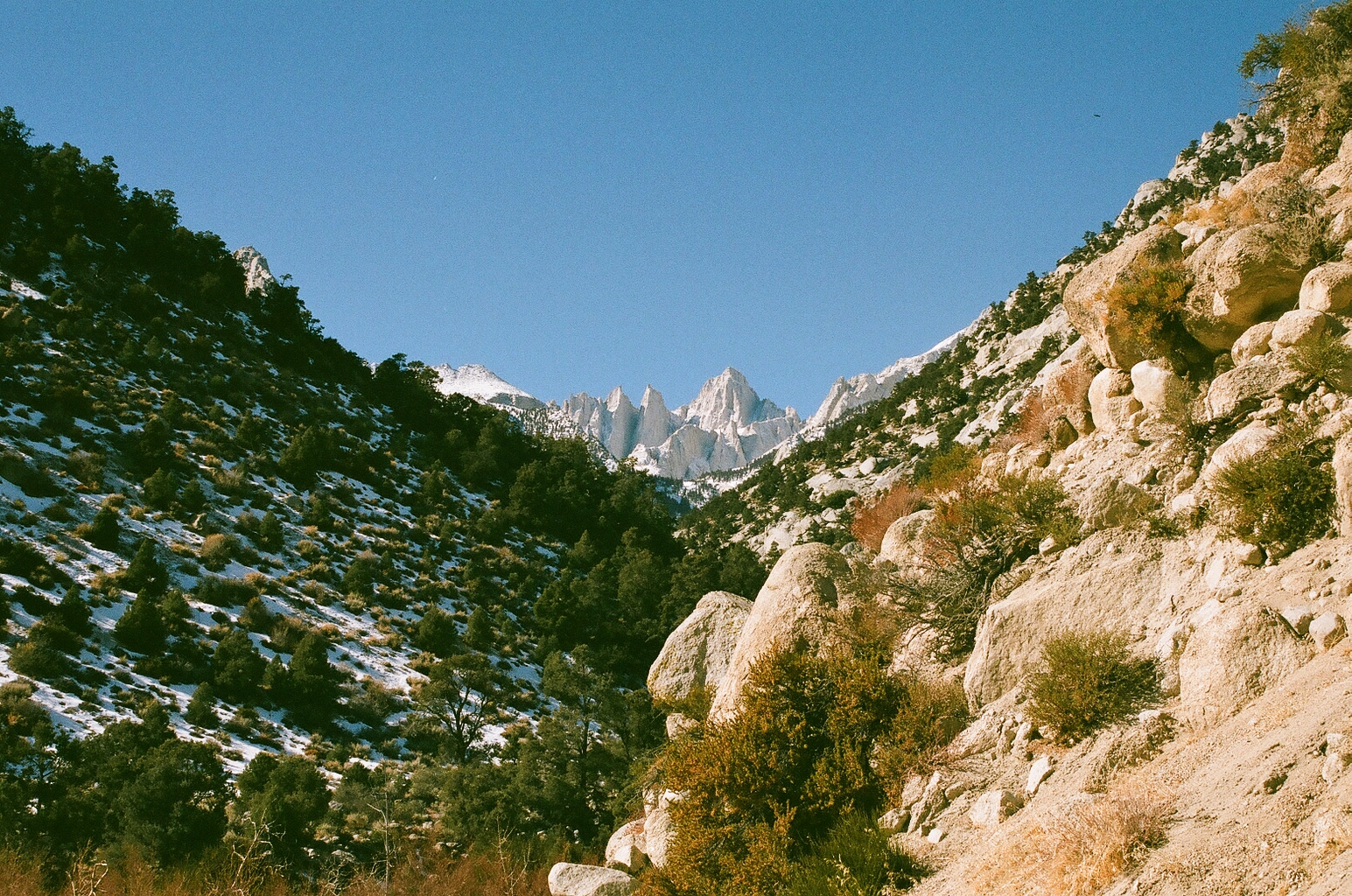 Header — field or landscape photo